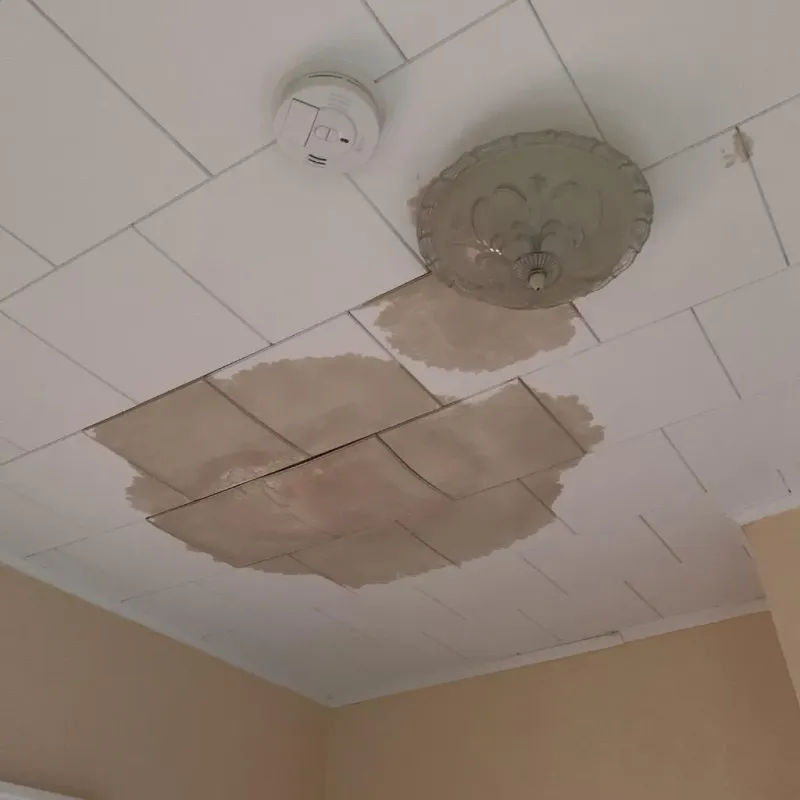 Ceiling Water Damage Repair in Greenback, TN