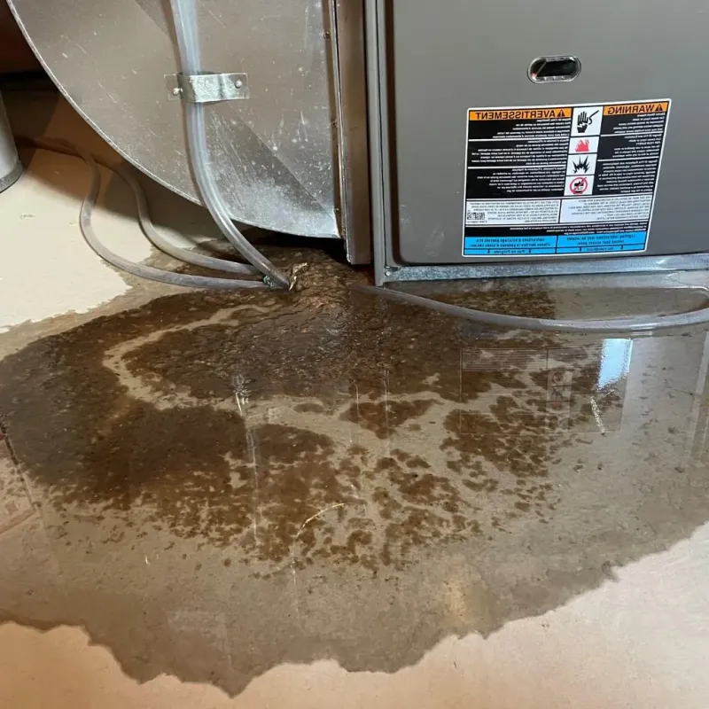 Pipe Burst and Leak Restoration in Greenback, TN