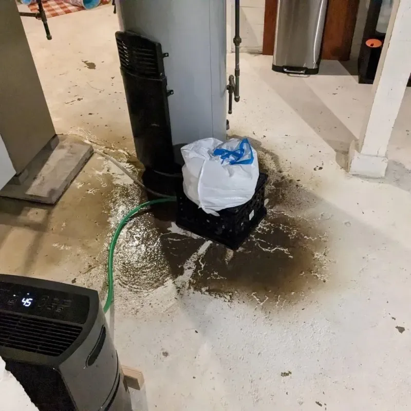 Sewage Backup Cleanup Service in Greenback, TN